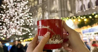 Vienna Christmas Market lights”