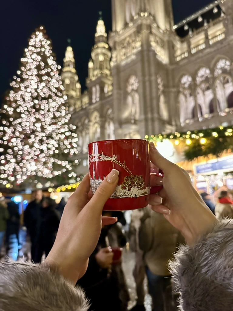 Vienna Christmas Market lights”