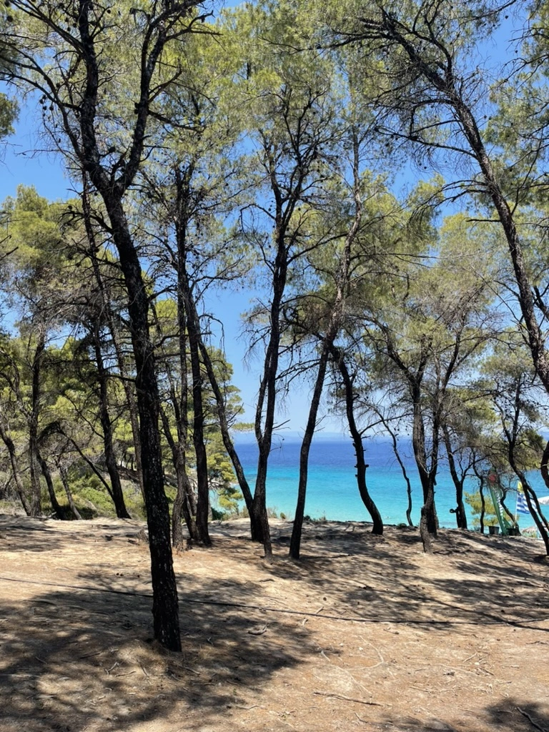 Mega Portokali beach in Halkidiki stunning views and turquoise water